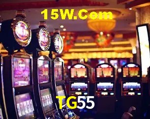 Login Seguro TG55