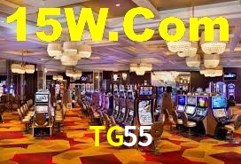 Premium Interface TG55